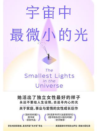 《宇宙中最微小的光》萨拉·西格尔（epub+mobi+azw3+pdf）