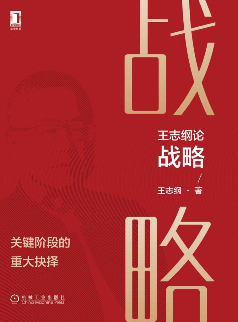 王志纲论战略：关键阶段的重大抉择(epub+azw3+mobi)