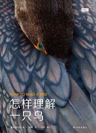 《怎样理解一只鸟》童文菲（epub+mobi+azw3+pdf）